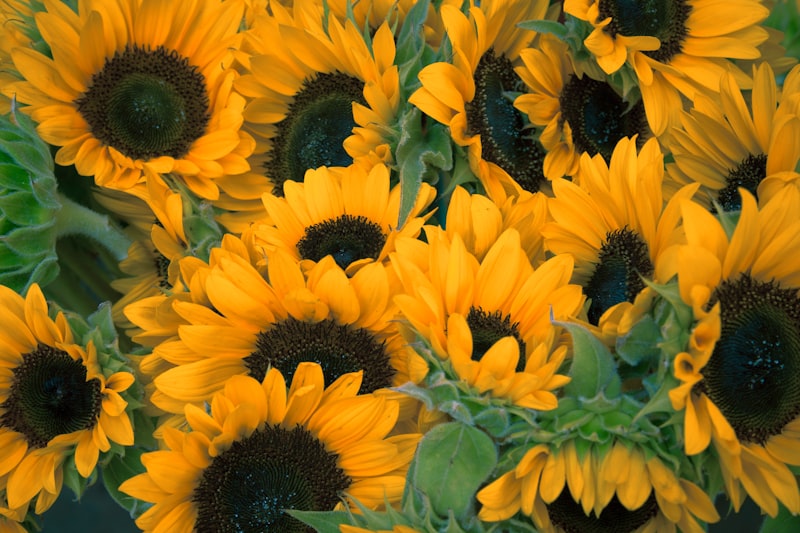 Wedding Bouquets